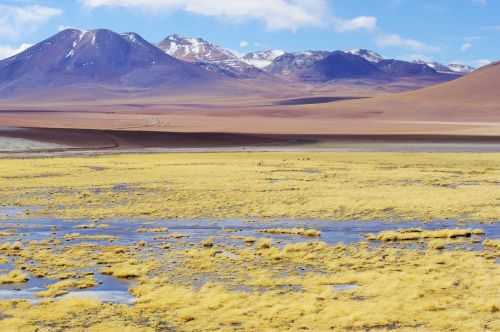 TREKKING NEL DESERTO DI ATACAMA 2015